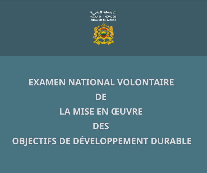 Morocco's 2020 Voluntary National Review