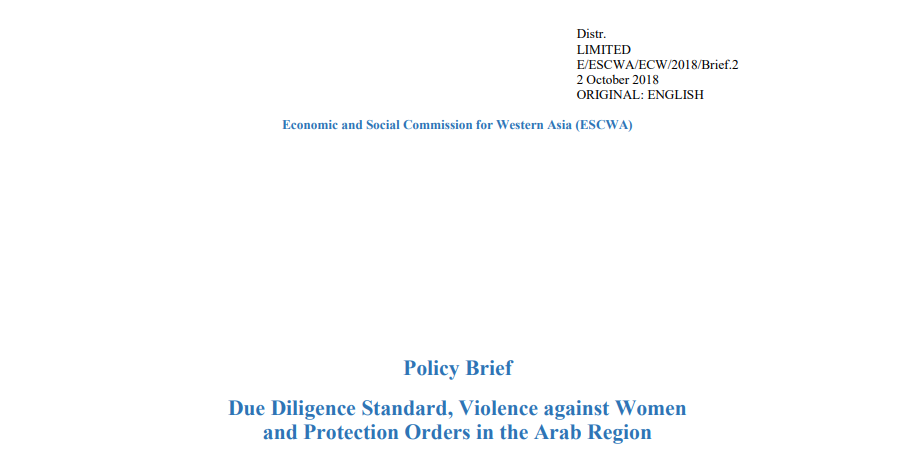 The Due Diligence Standard, Violence against Women and Protection Orders in the Arab Region