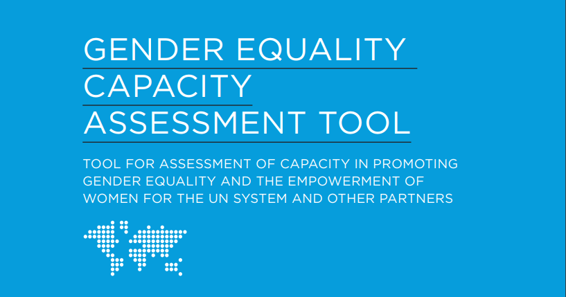 Training Manual: Gender Equality Capacity Assessment Tool
