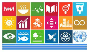 The UN SDGs