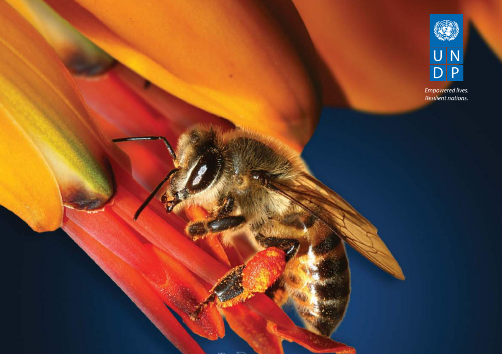 BIOFIN: The Biodiversity Finance Initiative Workbook