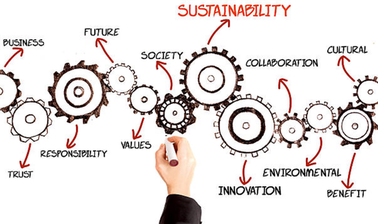 Introduction to Corporate Sustainability, Social Innovation and Ethics