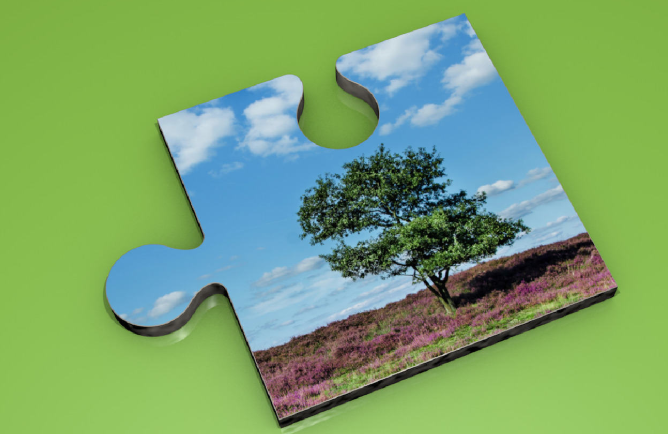 Environmental Challenges: Human Impact in the Natural Environment