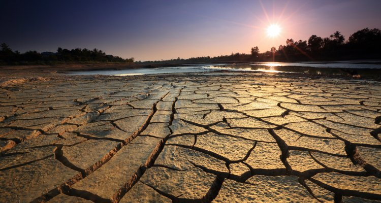 Drainage in Agriculture