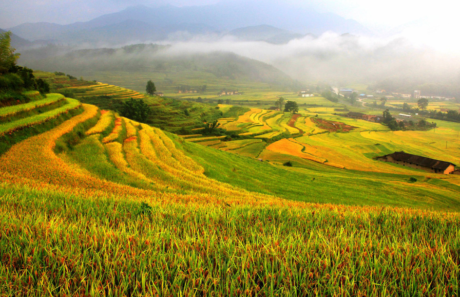 The National Greenhouse Gas Inventory for Agriculture