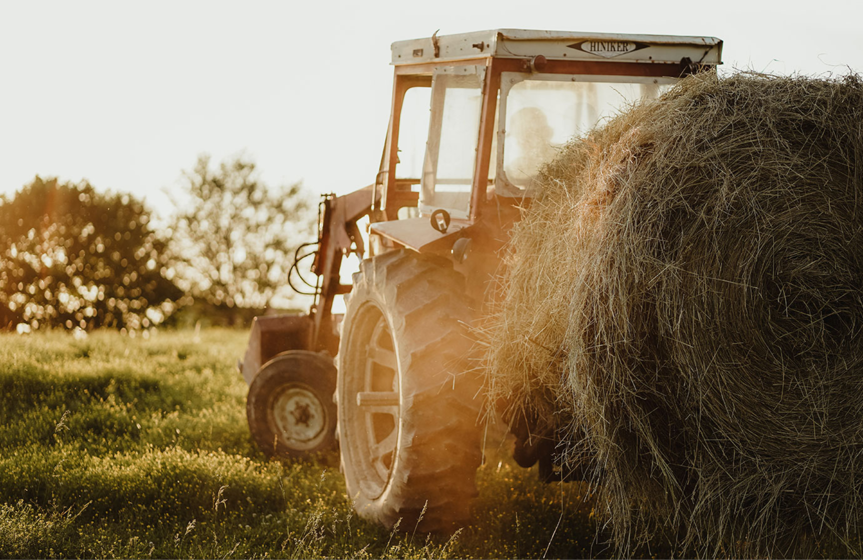 Agriculture Orientation Index