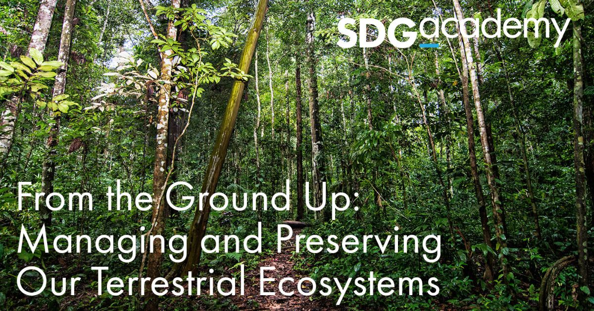 From the Ground Up: Managing and Preserving Our Terrestrial Ecosystems