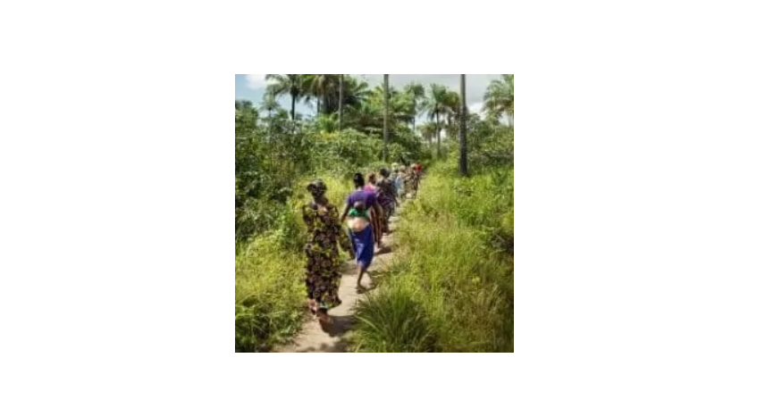 Gender Equality Pathway