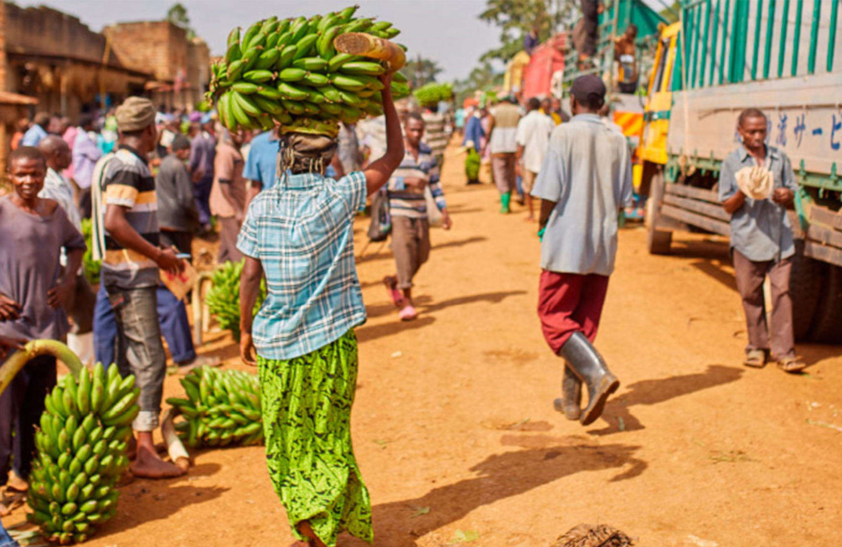 Understanding The Risk Environment in Agriculture