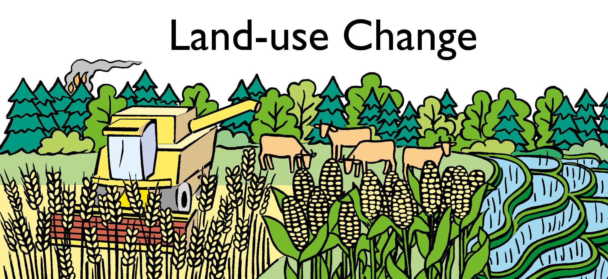 Ecosystem Services: A Method for Sustainable Development