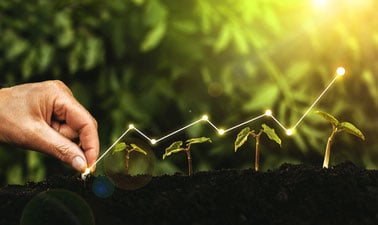 Economics and Policies in a Biobased Economy