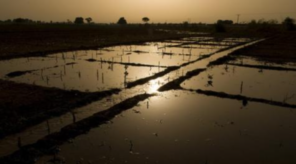 Designing Index Based Weather Risk Management Programs