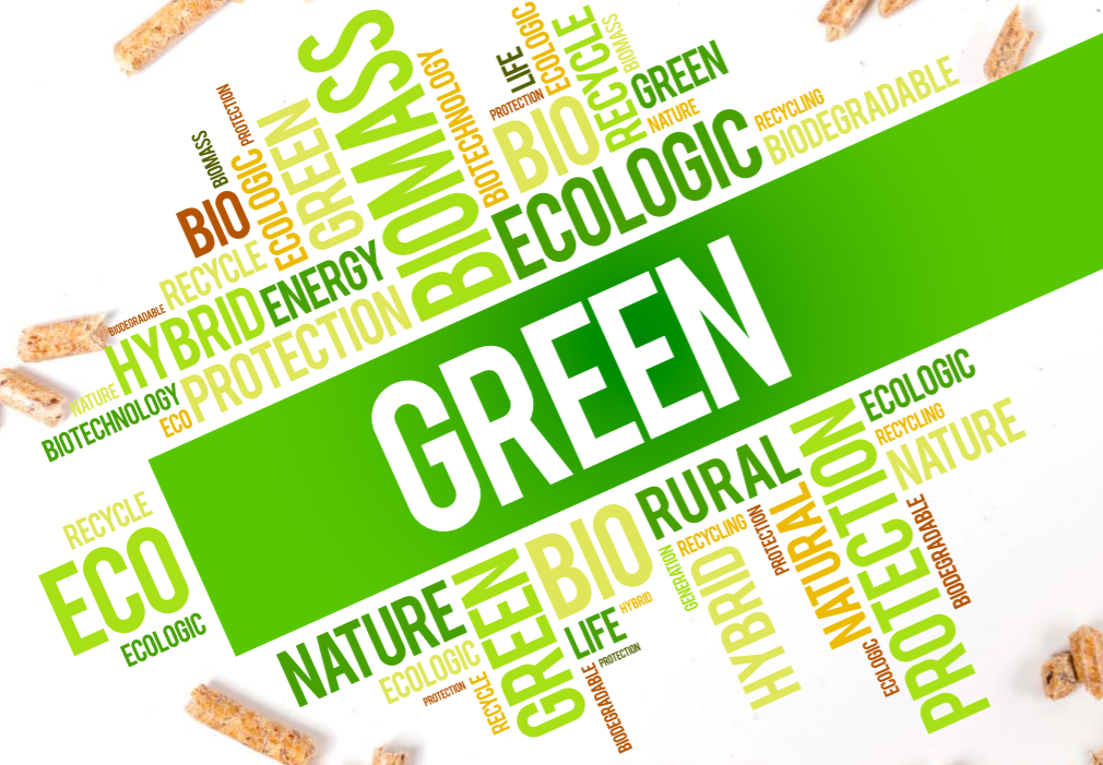 Biomass Energy Service-based Rural Energy Entrepreneurship