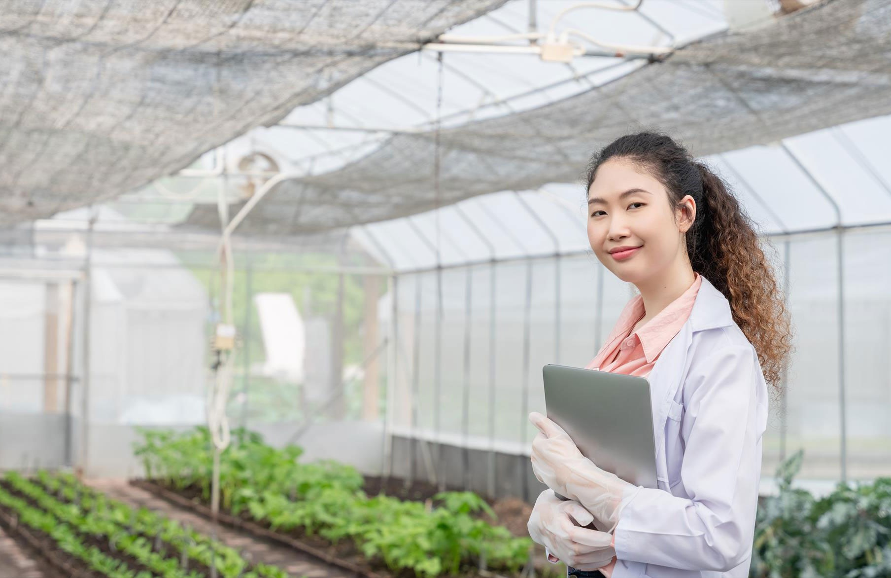 Surveillance and pest status determination