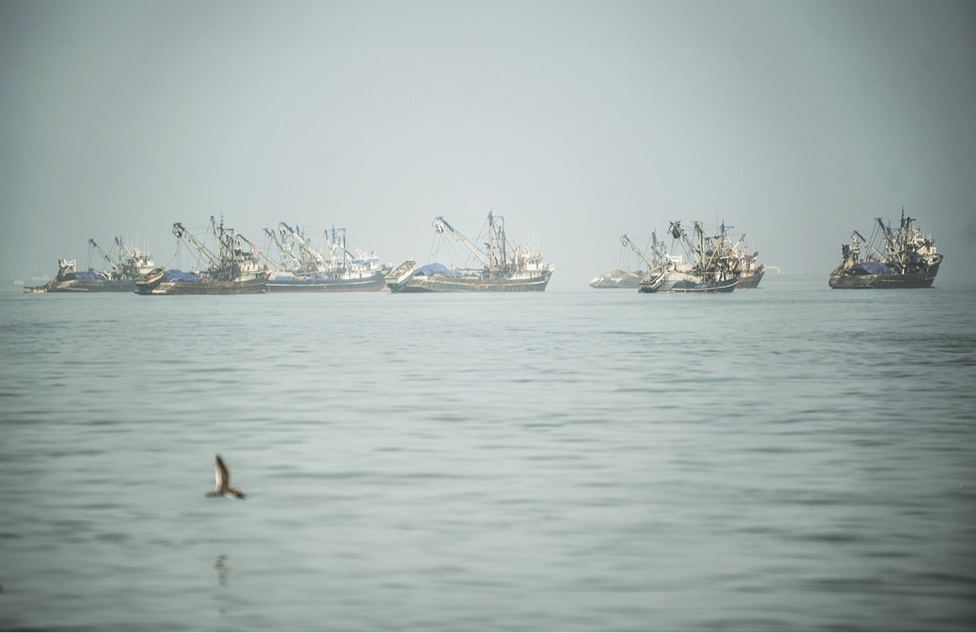 Agreement on Port State Measures and the framework to fight illegal, unreported and unregulated fishing