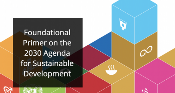 Foundational Primer on the 2030 Agenda for Sustainable Development