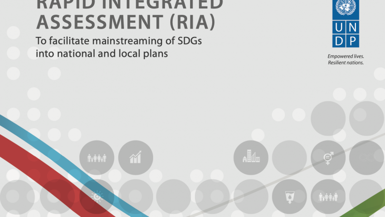 Rapid integrated assessment (RIA) tool