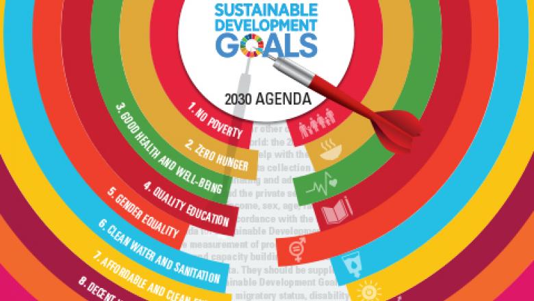 E-Handbook on SDG Framework and Metadata