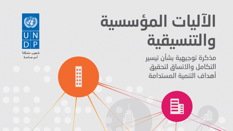 الآليات المؤسسية والتنسيقية