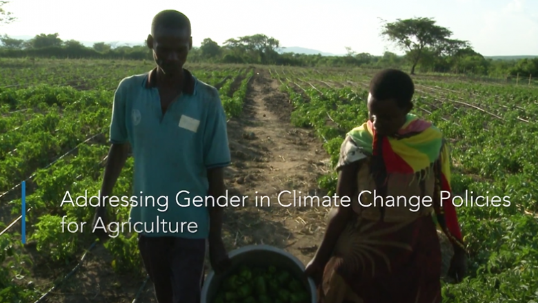 Addressing Gender in Climate Change Policies for Agriculture