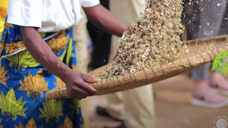 Global Goals in Action: Natura & Co