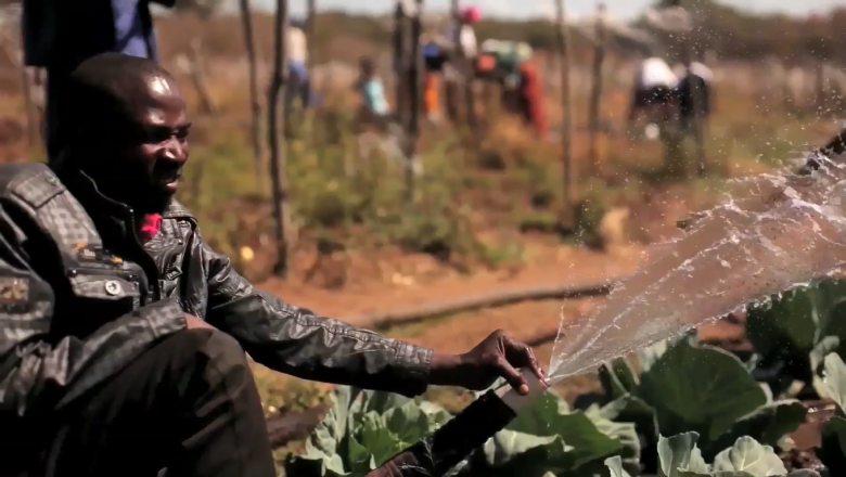 Integrating agriculture in national adaptation plans
