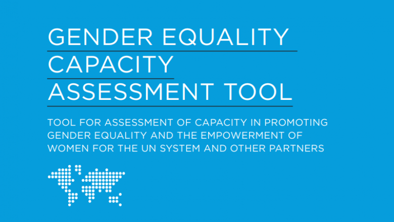 Training Manual: Gender Equality Capacity Assessment Tool