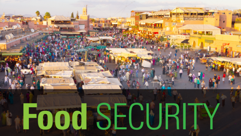 Food security in the Arab region