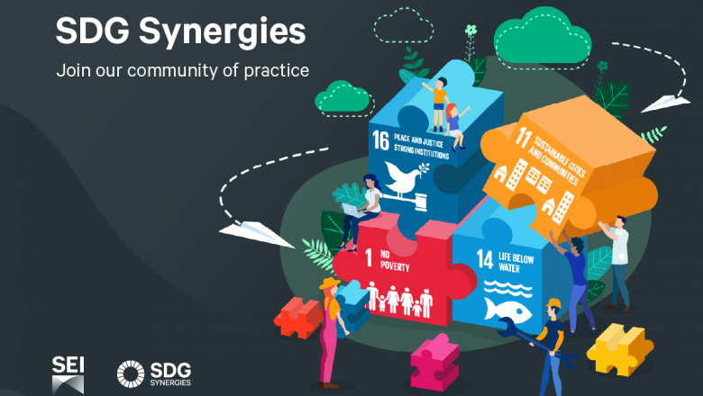 SDG Synergies Tool