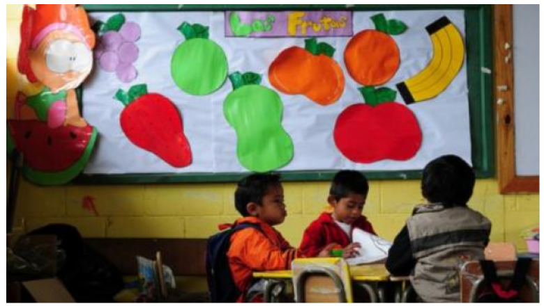 Early Childhood Development for Policymakers and Practitioners