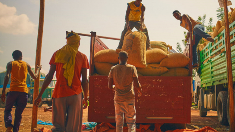 Agricultural Risk Management Tools