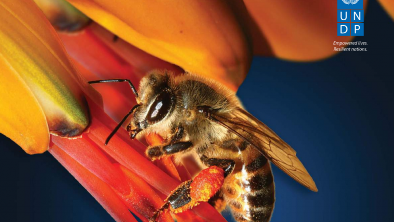 BIOFIN: The Biodiversity Finance Initiative Workbook