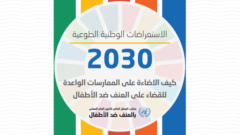 دليل للاستعراضات الوطنية الطوعية حول كيفية الإضاءة على الممارسات الواعدة للقضاء على العنف ضد الأطفال