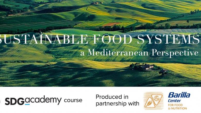 Sustainable Food Systems: A Mediterranean Perspective