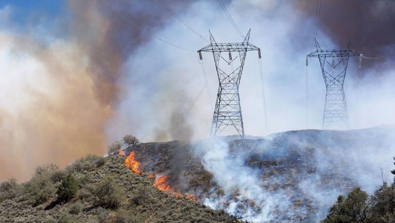 Climate Change: Financial Risks and Opportunities