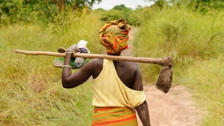 Landscape Leadership: Catalyse Sustainable Development in Landscapes