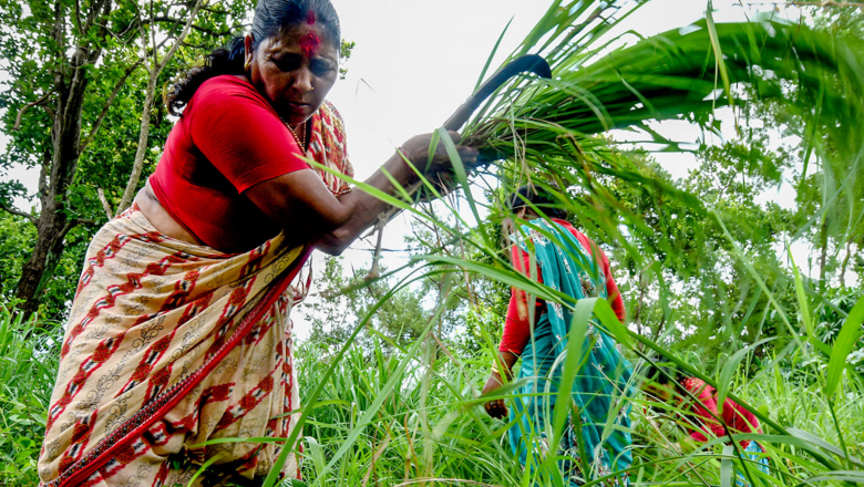 Ensuring women’s legal rights to land ownership and/or control