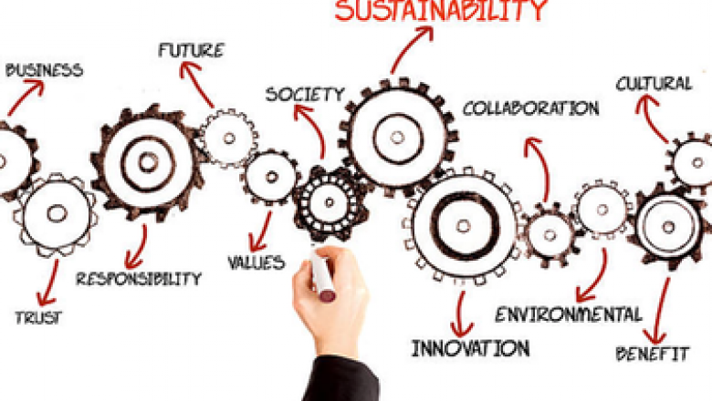 Introduction to Corporate Sustainability, Social Innovation and Ethics