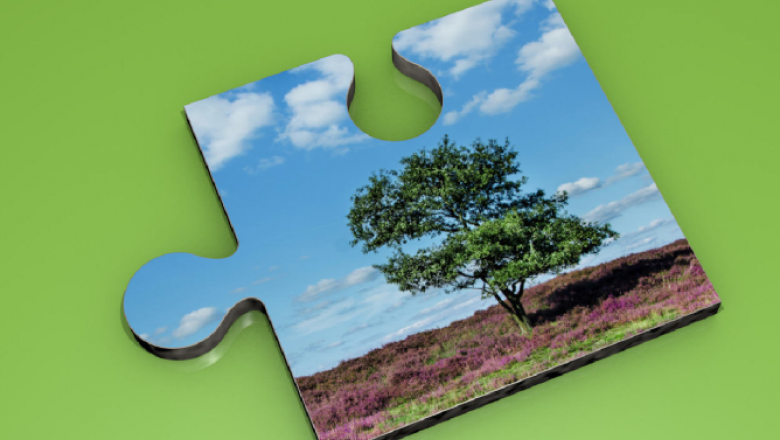 Environmental Challenges: Human Impact in the Natural Environment