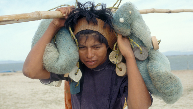 Promoting Youth Employment and Reducing Child Labour In Agriculture