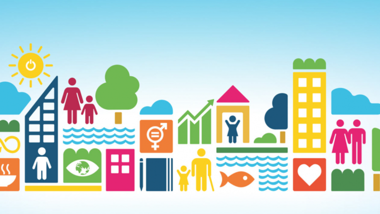 Organizing for the Sustainable Development Goals (SDGs)
