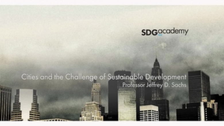 Cities and the Challenge of Sustainable Development