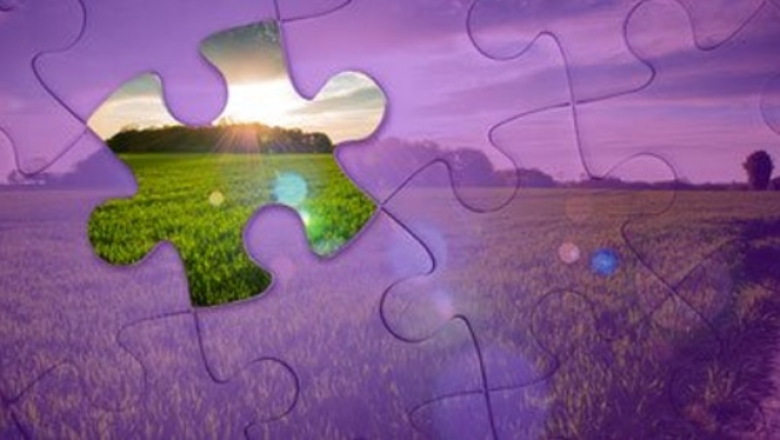 Agri-Food Systems Analysis