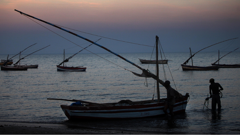 Securing sustainable small-scale fisheries