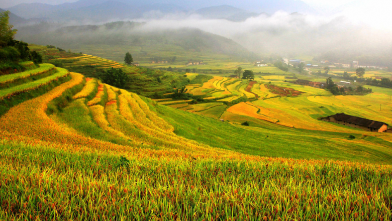 The National Greenhouse Gas Inventory for Agriculture