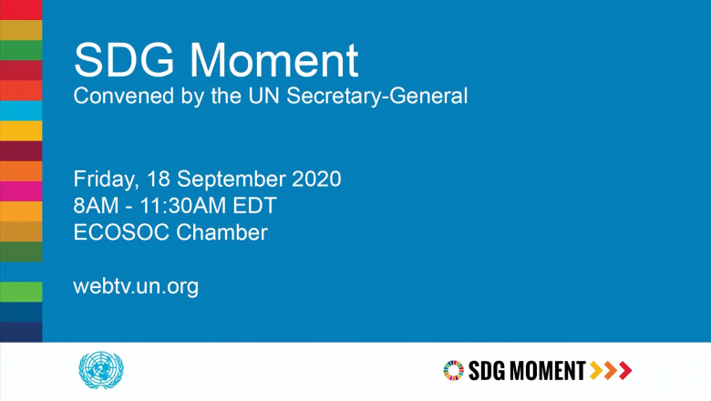 SDG Moment 2020
