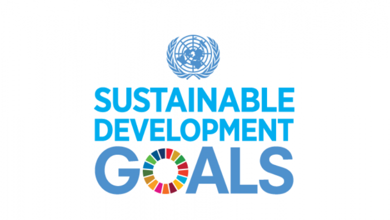 Compiling Metadata for Sustainable Development Goals