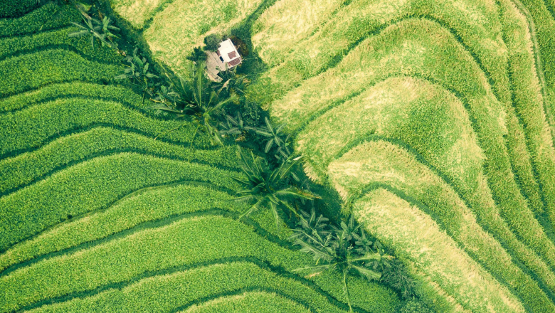 Safeguarding Land Tenure Rights in The Context of Agricultural Investments