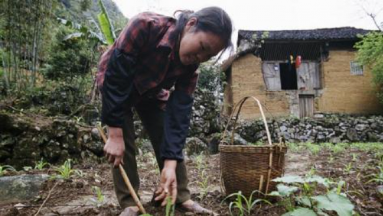 Gender in Agriculture