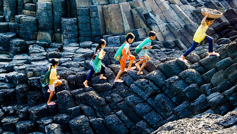 Business Strategies and Public-Private Partnerships To End Child Labour in Agriculture